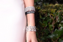 Charlize Theron (close-up pictured) Gina Rodriguez and Rachel Brosnahan wore Time's Up ribbons and bracelets in support of the movement