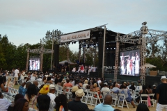 Crowd
