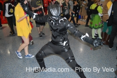 Stan Lee Comic Con 2016