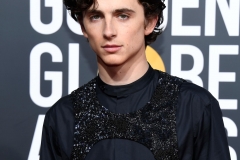 Beautiful Boy star Timothee Chalamet added sparkle to his all-black ensemble with a sequined Louis Vuitton harness
